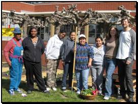 People gardening organically