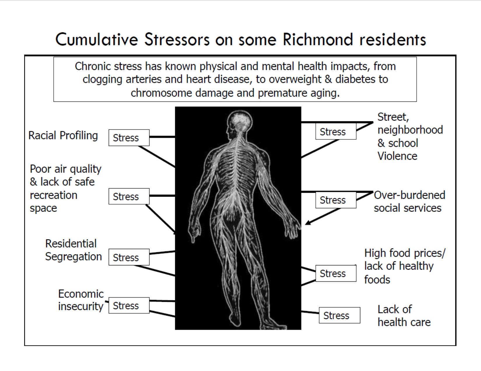 Cumulative Stressors.jpg