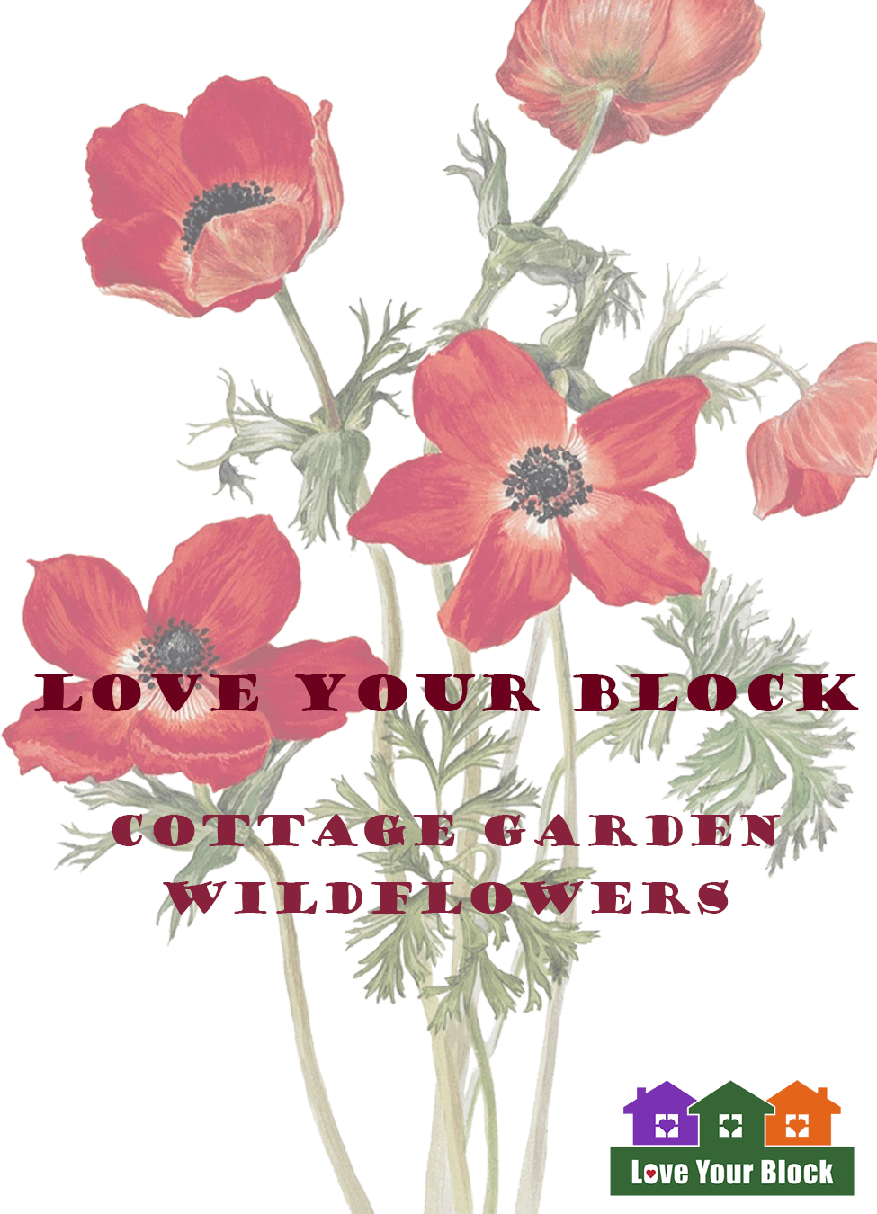 Seed Packet Fixed Wildflower