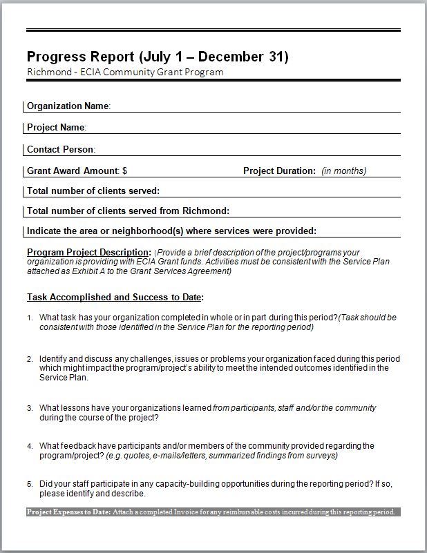 ECIA Progress Report Template