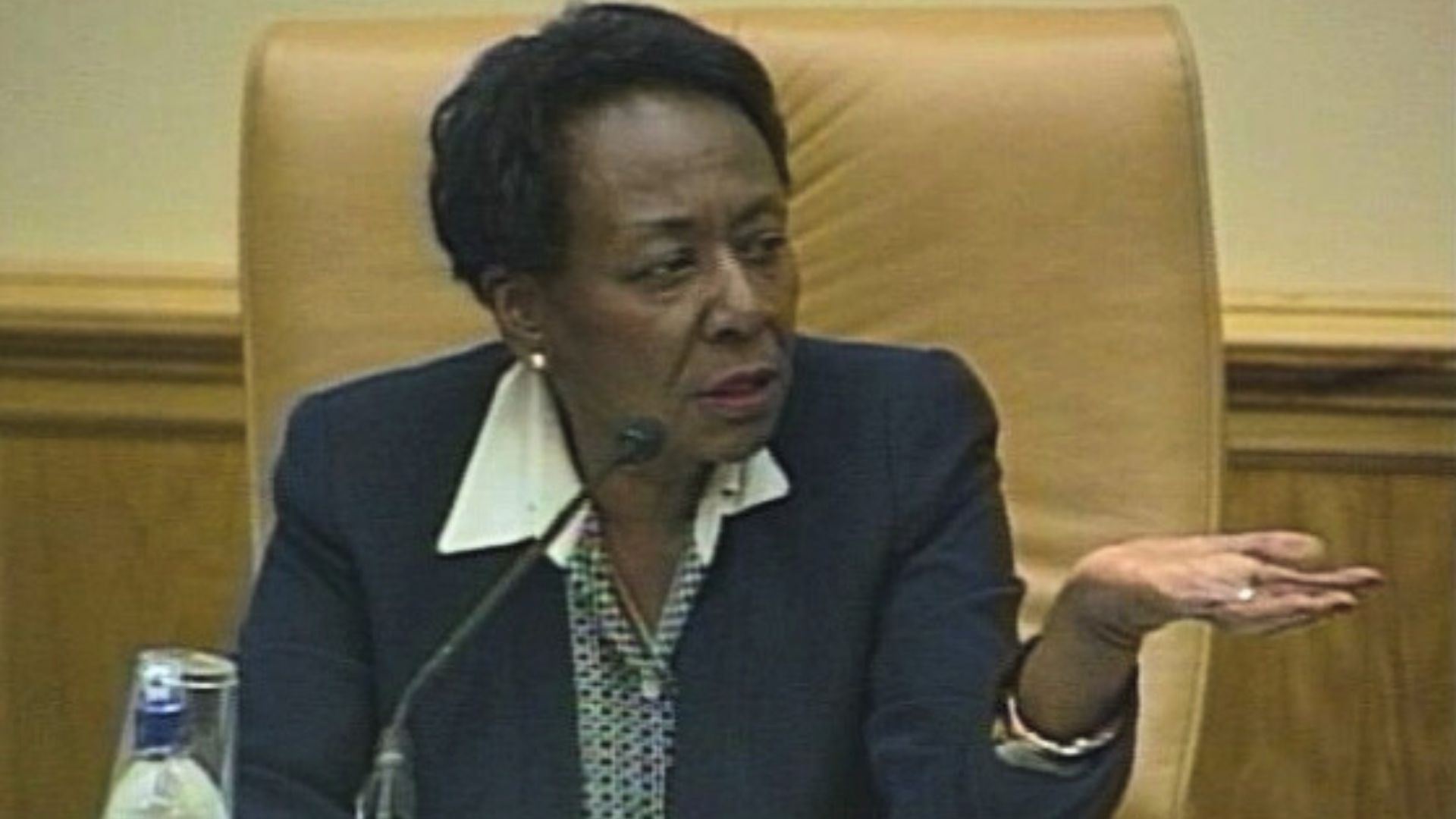 Irma during a City Council Meeting