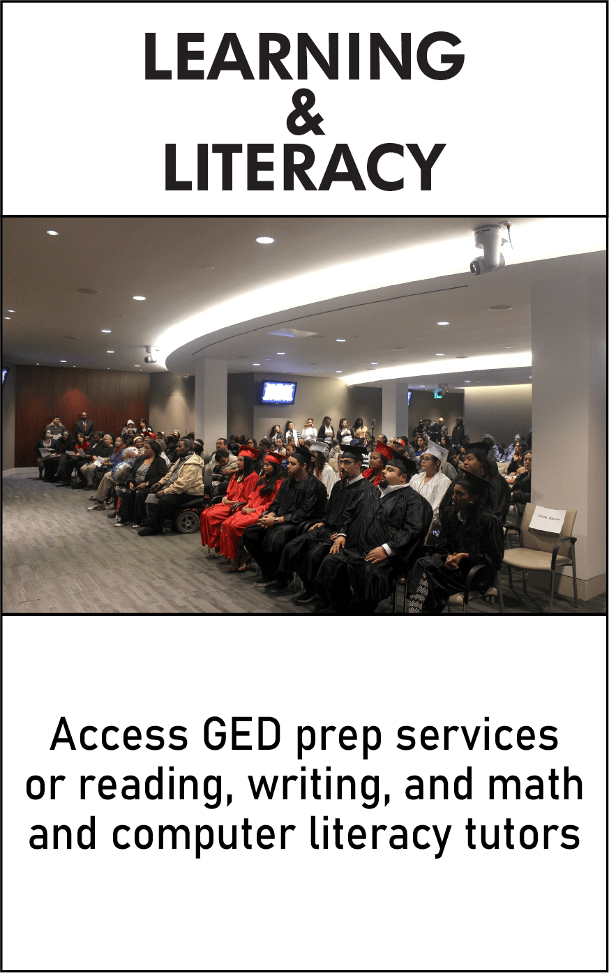 learning and literacy button final