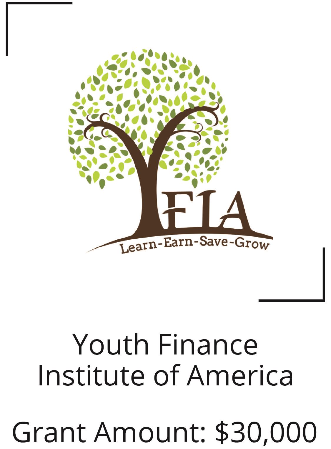 Youth Finance Institute of America. Grant AMount $30,000 Opens in new window