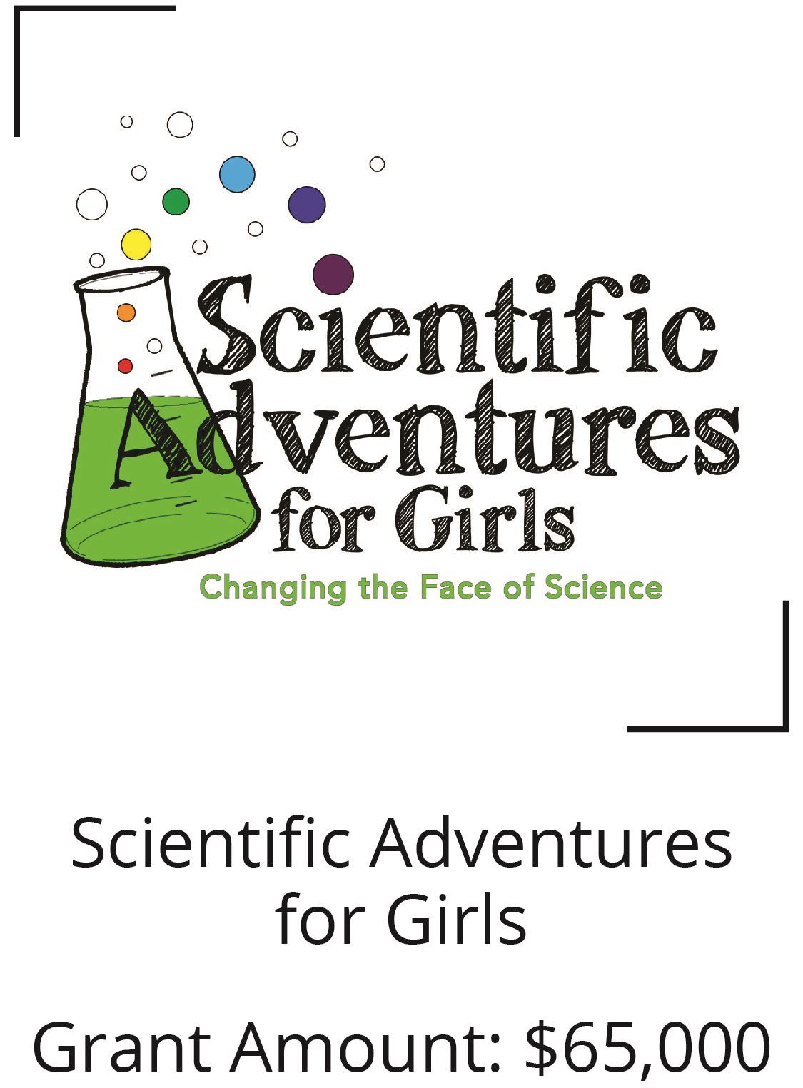 Scientific Adventures for Girls. Grant Amount: $65,000 Opens in new window