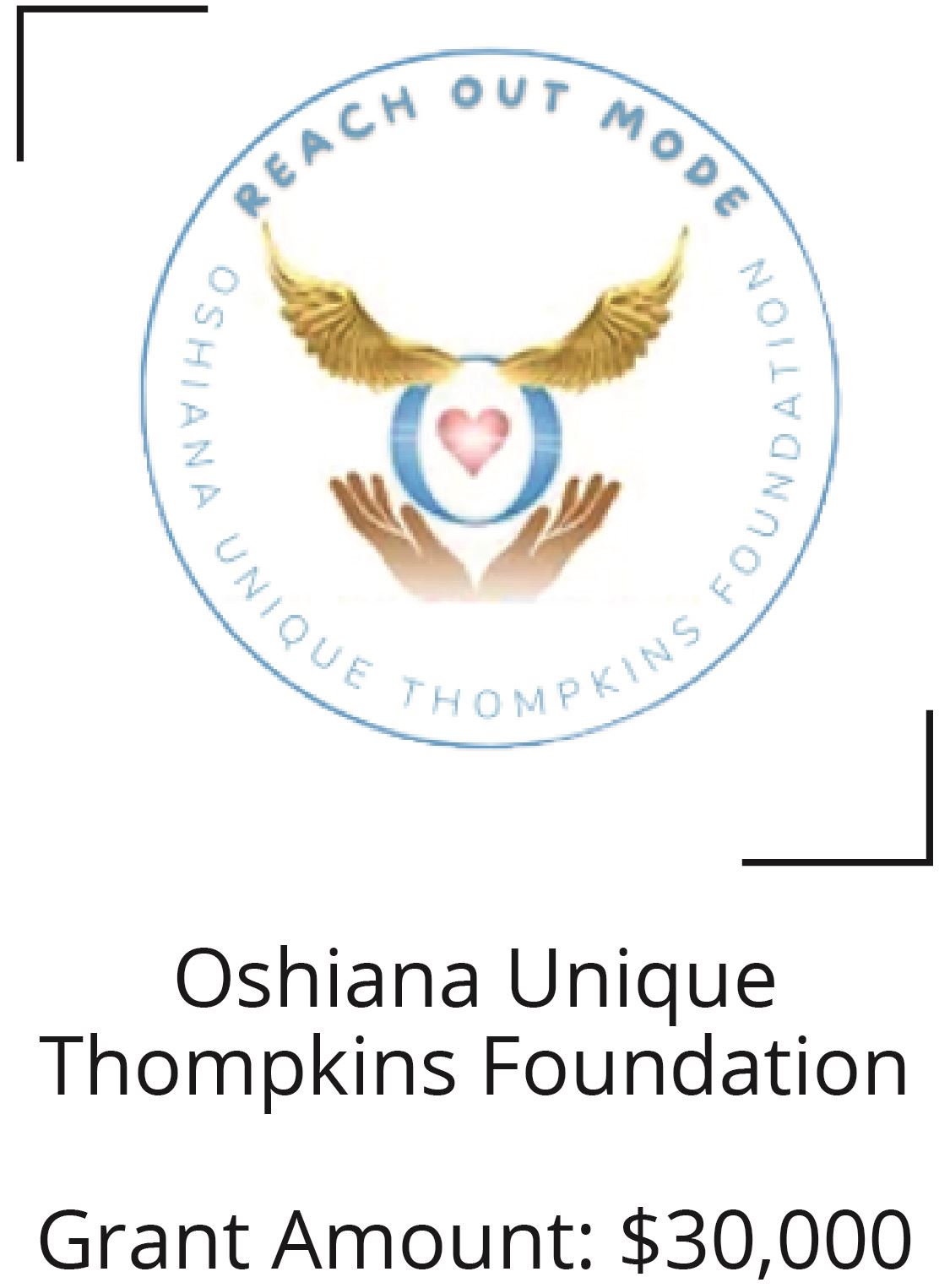 Oshiana Unique Thompkins Foundation. Grant Amount: $30,000 Opens in new window