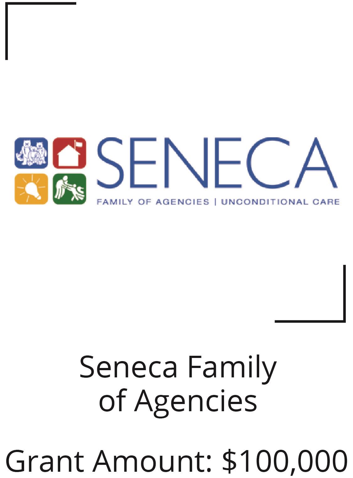 Seneca Family of Services. Grant Amount $100,000 Opens in new window