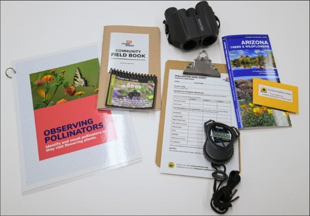 ObservingPollinators