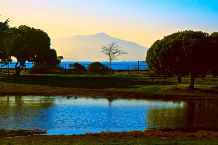 Photo of Miller Knox Pond